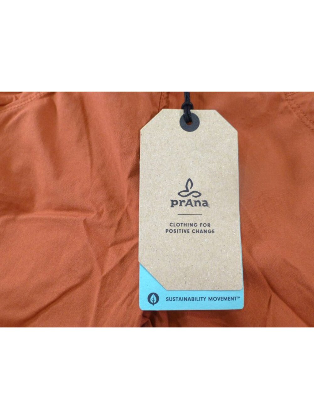 PrAna Womens Kanab Pant L Liqueur Stretch Canvas Jogger Hiking Climbing NWT Orga - Picture 3 of 16